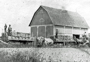 Fred Norris Hay Wagons Cropped_edited
